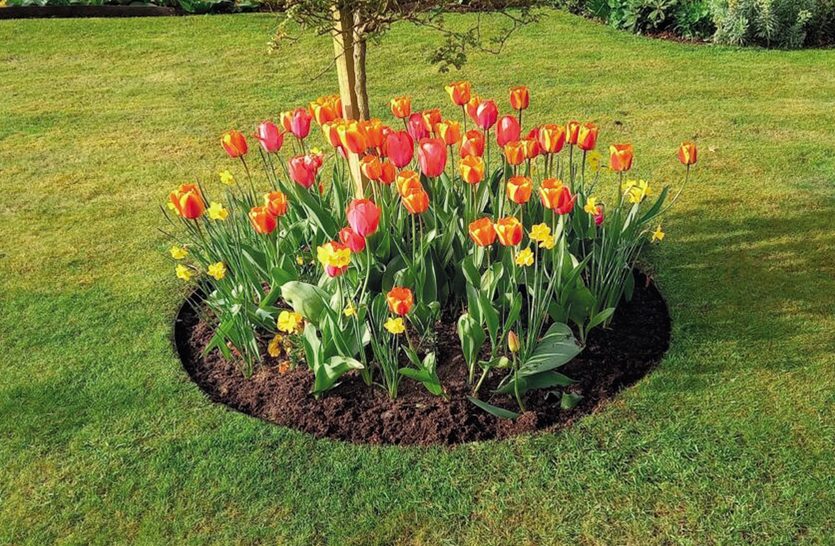 1200x875-kertigyuru2-everedge